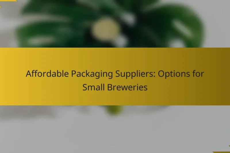 Affordable Packaging Suppliers: Options for Small Breweries