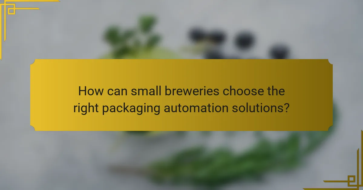 How can small breweries choose the right packaging automation solutions?