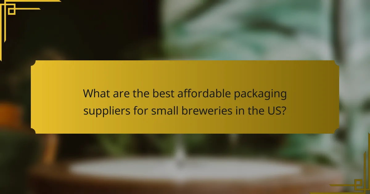 What are the best affordable packaging suppliers for small breweries in the US?